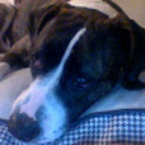 Meet your Posher, Caleb